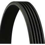 Order CONTINENTAL - 5PK805 - V-Ribbed Belt For Your Vehicle