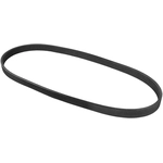 Order CONTINENTAL - 5PK820 - Serpentine belt For Your Vehicle