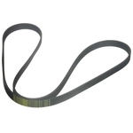 Order CONTINENTAL - 6K1743 - Serpentine Belt For Your Vehicle