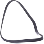 Order CONTINENTAL - 6PK1205 - Serpentine Belt - Automotive V-Belt For Your Vehicle