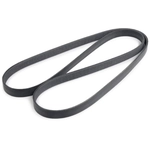 Order Serpentine Belt by CONTINENTAL - 6PK1847EXTRA For Your Vehicle