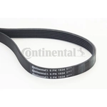 Order CONTINENTAL - 6PK1934 - Serpentine Belt - Automotive V- Belt For Your Vehicle