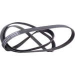 Order CONTINENTAL - 6PK2145 - Serpentine Belt For Your Vehicle