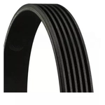 Order CONTINENTAL - 6PK882EXTRA - V-Rib Belt For Your Vehicle