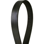 Order CONTINENTAL - 715K6MK - Mileage Maker Multi V-Belt For Your Vehicle