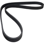 Order CONTINENTAL - 7DPK1360 - Serpentine Belt For Your Vehicle