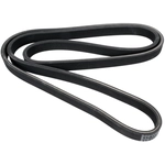 Order CONTINENTAL - 7DPK2880 - Accessory Drive Belt For Your Vehicle