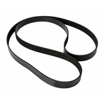 Order CONTINENTAL - 7K2055 - Multi V-Belt For Your Vehicle