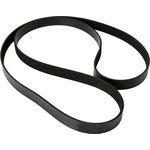 Order CONTINENTAL - 7K2467 - Metric Multi V-Belt For Your Vehicle