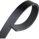 Order CONTINENTAL - 820K6MK - Serpentine Belt For Your Vehicle