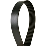 Order CONTINENTAL - 852K7MK - Mileage Maker Multi V-Belt For Your Vehicle