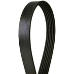 Order CONTINENTAL - 855K6MK - Mileage Maker Multi V-Belt For Your Vehicle