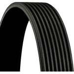 Order CONTINENTAL - 8PK1376EXTRA - V-Ribbed Belt For Your Vehicle
