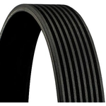 Order CONTINENTAL - 8PK1620EXTRA - V-Ribbed Belt For Your Vehicle