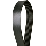 Order CONTINENTAL - 8PK2035 - ContiTech Accessory Drive Belt For Your Vehicle