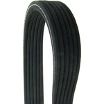 Order CONTINENTAL - D4060672 - Serpentine Belt - Automotive V-Belt For Your Vehicle