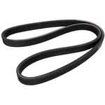 Order CONTINENTAL - D4060791 - Serpentine Belt - Automotive V-Belt For Your Vehicle