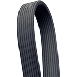 Order Serpentine Belt by CONTINENTAL - D4080534 For Your Vehicle