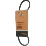 Order CONTINENTAL - PK030250 - Serpentine Belt For Your Vehicle