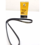 Order CONTINENTAL - PK040398 - Serpentine Belt For Your Vehicle