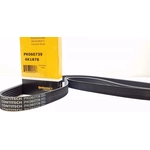 Order CONTINENTAL - PK060739 - Serpentine Belt For Your Vehicle