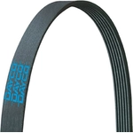Order Serpentine Belt by DAYCO - 4PK926EE For Your Vehicle