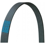 Order Serpentine Belt by DAYCO - 5030260 For Your Vehicle