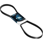 Order Serpentine Belt by DAYCO - 5030473 For Your Vehicle
