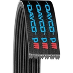 Order Serpentine Belt by DAYCO - 5040515 For Your Vehicle