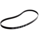 Order DAYCO - 5060512 - Serpentine Belt For Your Vehicle