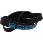 Order Serpentine Belt by DAYCO - 5060540SC For Your Vehicle