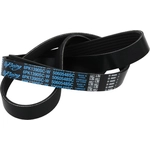 Order DAYCO - 5060548SC - Poly Rib Belt For Your Vehicle
