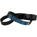 Order Serpentine Belt by DAYCO - 5080660SC For Your Vehicle