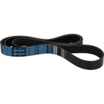 Order Serpentine Belt by DAYCO - 5080663SC For Your Vehicle
