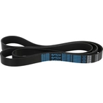 Order Serpentine Belt by DAYCO - 5080830SC For Your Vehicle