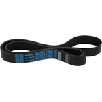 Order DAYCO - 5100840SC - Serpentine Belt For Your Vehicle