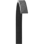 Order Serpentine Belt by DAYCO - 6080566 For Your Vehicle