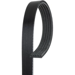 Order Courroie serpentine de GATES - K050365 For Your Vehicle
