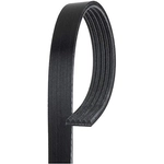Order Courroie serpentine de GATES - K050650 For Your Vehicle