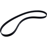Order Serpentine Belt by MOTORCRAFT - JA658 For Your Vehicle