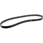 Order Serpentine Belt by MOTORCRAFT - JA661 For Your Vehicle