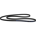 Order Serpentine Belt by MOTORCRAFT - JA664 For Your Vehicle