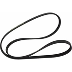 Order Serpentine Belt by MOTORCRAFT - JK4-533 For Your Vehicle