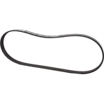 Order MOTORCRAFT - JK5-382A - Serpentine Belt For Your Vehicle