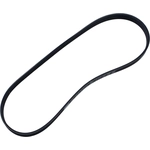 Order Serpentine Belt by MOTORCRAFT - JK6-377 For Your Vehicle