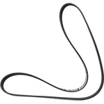 Order MOTORCRAFT - JK6-480B - Serpentine Belt For Your Vehicle