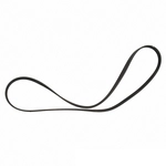 Order MOTORCRAFT - JK6-582 - Serpentine Belt For Your Vehicle