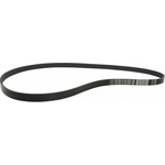 Order Serpentine Belt by MOTORCRAFT - JK6-591 For Your Vehicle