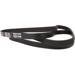 Order Serpentine Belt by MOTORCRAFT - JK6-847B For Your Vehicle