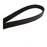 Order MOTORCRAFT -  JK8-1352 -  Serpentine Belt For Your Vehicle